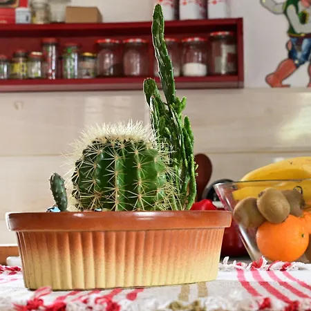 Lejlighed Canyon Matka - Unique Place For Skopje