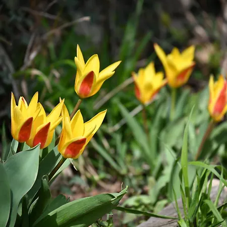 Canyon Matka - Unique Place For
