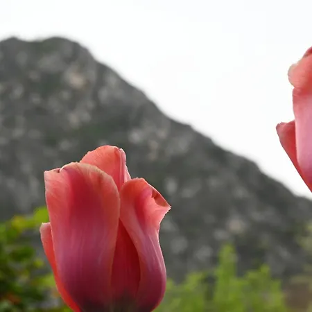 Canyon Matka - Unique Place For Apartmán Skopje