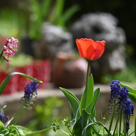 Canyon Matka - Unique Place For * Skopje