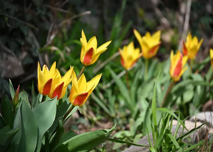 Canyon Matka - Unique Place For