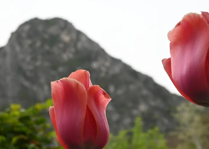 Canyon Matka - Unique Place For Apartmán Skopje
