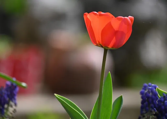 Lägenhet Canyon Matka - Unique Place For *