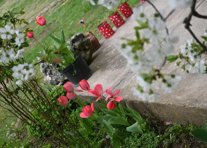 Canyon Matka - Unique Place For *