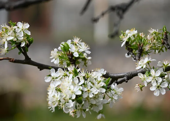 Lägenhet Canyon Matka - Unique Place For Skopje