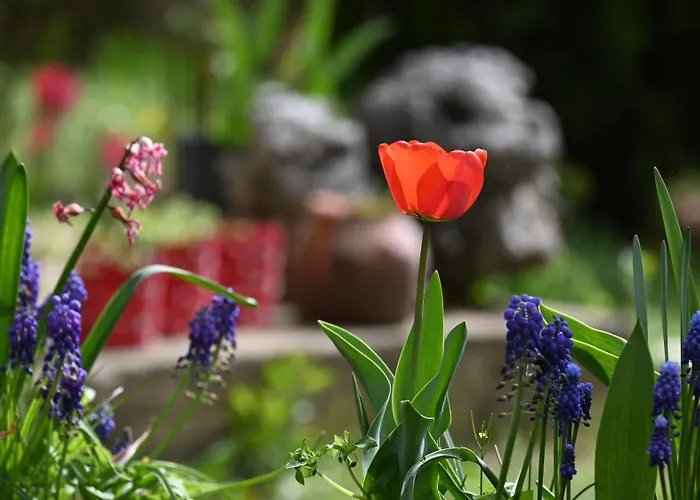 Canyon Matka - Unique Place For * Skopje